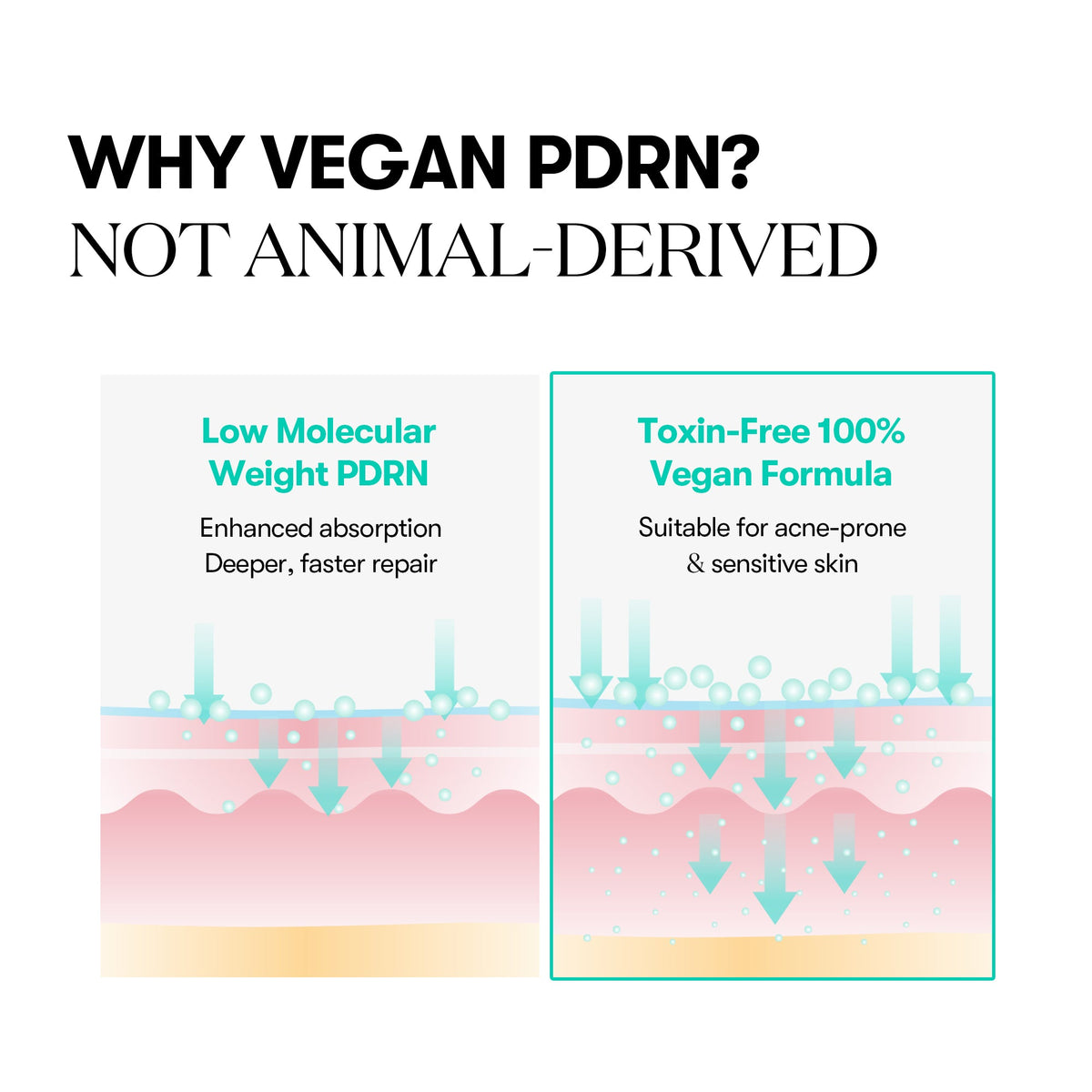 Vt Pdrn Capsule Cream 100 -50ml - image 5