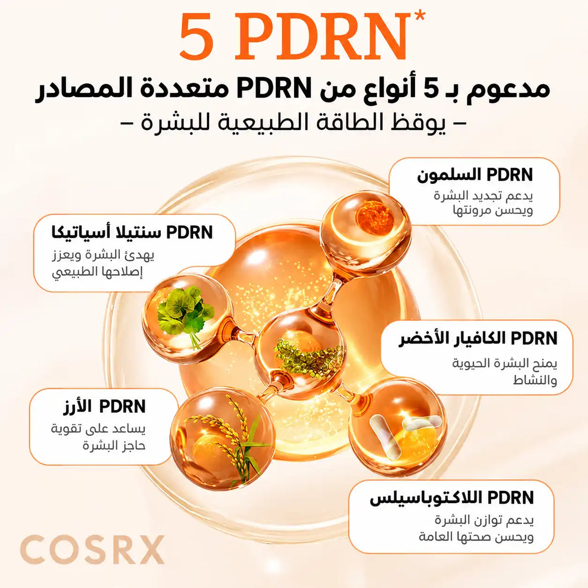Cosrx 5 Pdrn Collagen Lntense Vitalizing Serum (100ml)